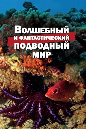 Обложка книги «Волшебный и фантастический подводный мир»