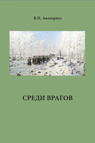 Обложка книги «Среди врагов»