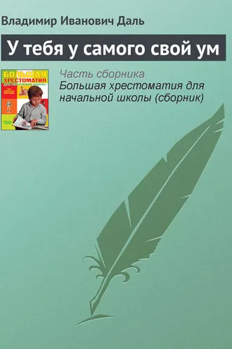 Обложка книги «У тебя у самого свой ум»