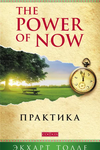 Обложка книги «The Power of Now. Практика»