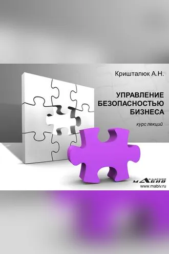 Обложка книги «Управление безопасностью бизнеса»