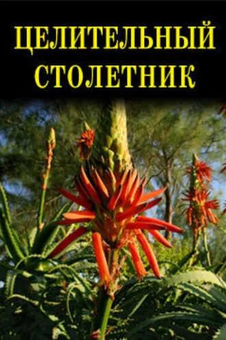 Обложка книги «Целительный столетник»