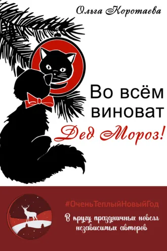 Обложка книги «Во всём виноват Дед Мороз!»