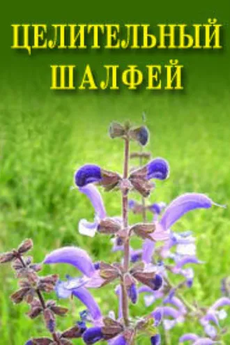 Обложка книги «Целительный шалфей»