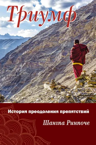 Обложка книги «Триумф. История преодоления препятствий»