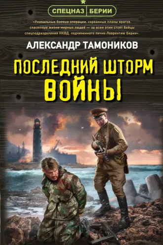 Обложка книги «Последний шторм войны»