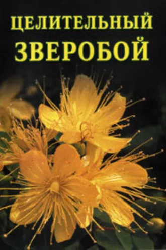 Обложка книги «Целительный зверобой»