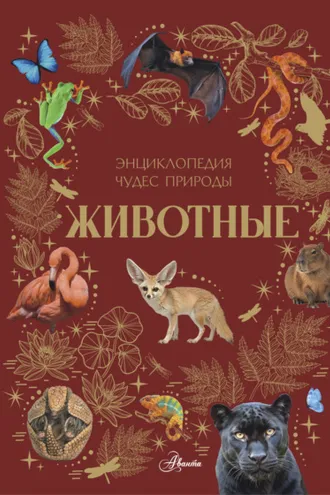 Обложка книги «Животные»