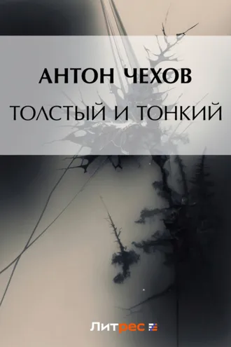 Обложка книги «Толстый и тонкий»