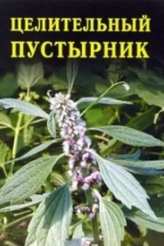 Обложка книги «Целительный пустырник»