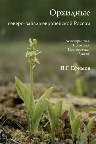 Обложка книги «Орхидные северо-запада европейской России»