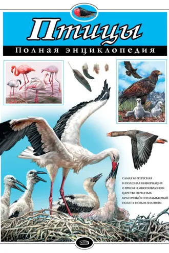 Обложка книги «Птицы. Полная энциклопедия»