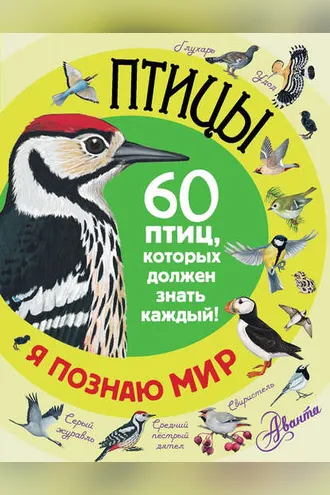 Обложка книги «Птицы. 60 птиц, которых должен знать каждый»