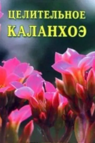 Обложка книги «Целительное каланхоэ»