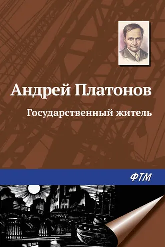 Обложка книги «Государственный житель»
