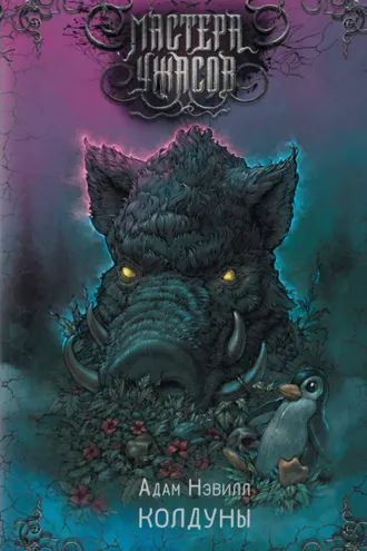 Обложка книги «Колдуны»
