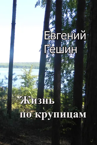 Обложка книги «Жизнь по крупицам»