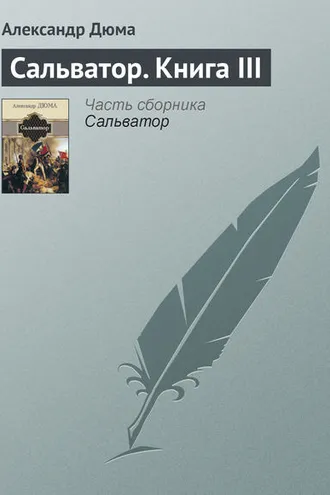 Обложка книги «Сальватор. Книга III»