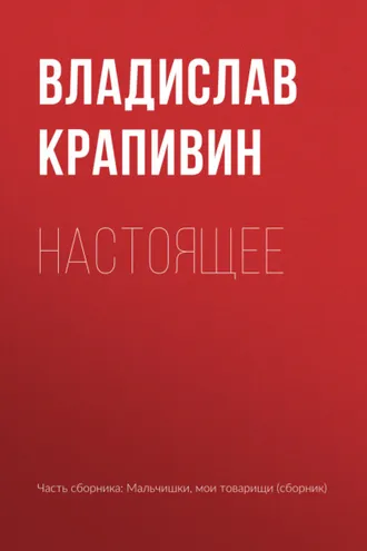 Обложка книги «Настоящее»