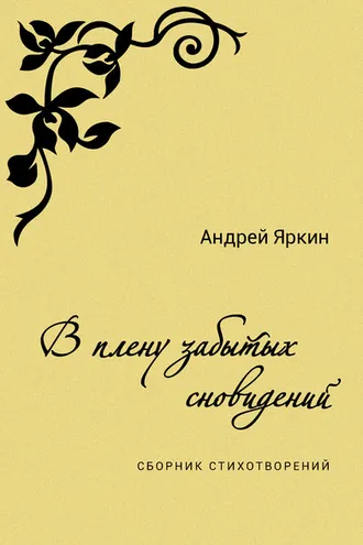 Обложка книги «В плену забытых сновидений»