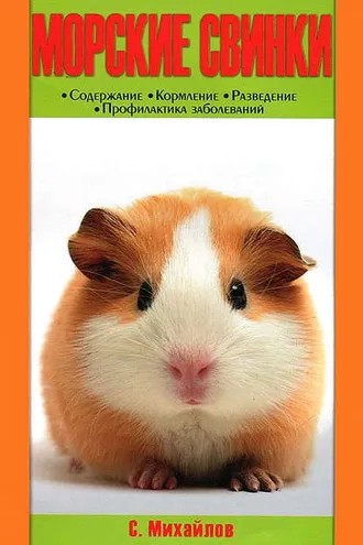 Обложка книги «Морские свинки»