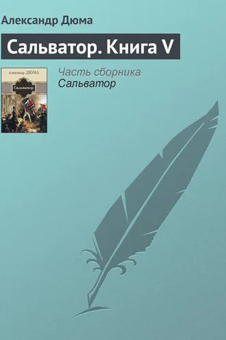 Обложка книги «Сальватор. Книга V»