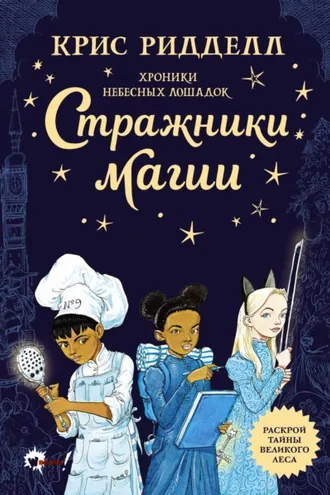 Обложка книги «Хроники небесных лошадок. Стражники магии»