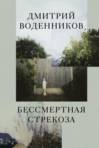 Обложка книги «Бессмертная стрекоза»