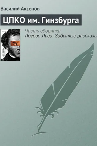 Обложка книги «ЦПКО им. Гинзбурга»