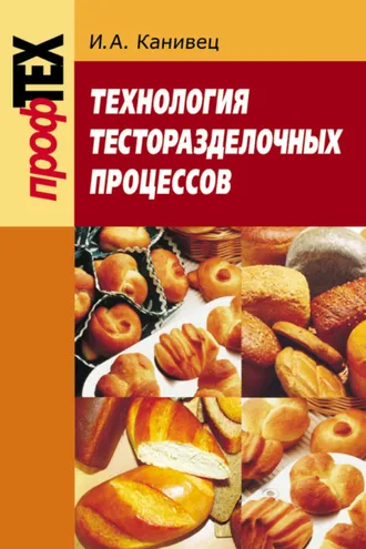 Обложка книги «Технология тесторазделочных процессов»