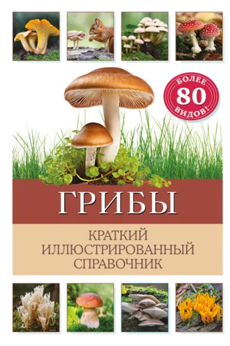 Обложка книги «Грибы. Краткий иллюстрированный справочник»