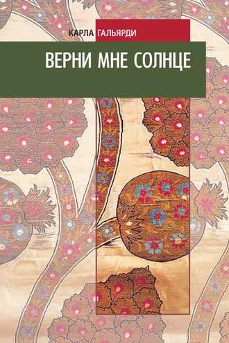 Обложка книги «Верни мне солнце»