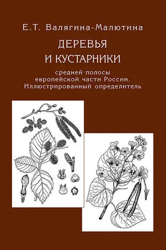 Обложка книги «Деревья и кустарники средней полосы европейской части России. Иллюстрированный определитель»