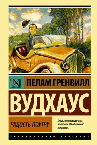 Обложка книги «Радость поутру»