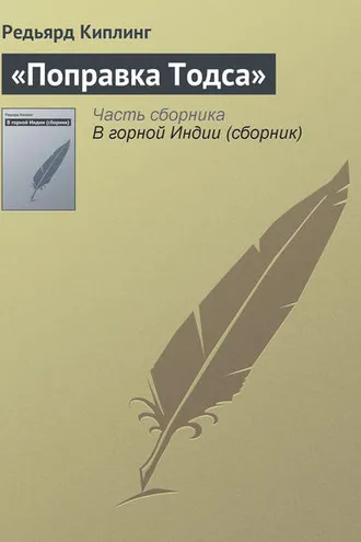 Обложка книги ««Поправка Тодса»»
