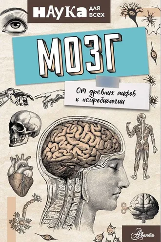 Обложка книги «Мозг. От древних мифов к нейробиологии»