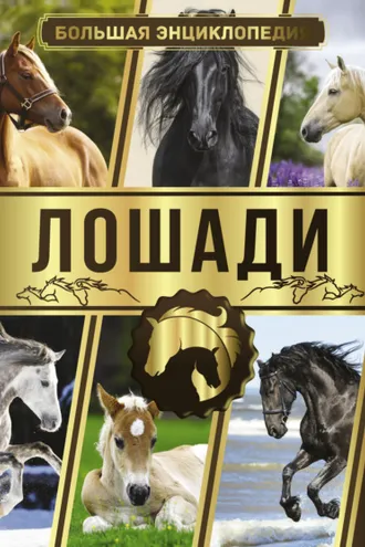 Обложка книги «Большая энциклопедия. Лошади»