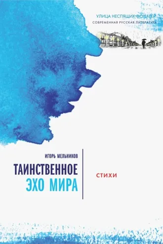 Обложка книги «Таинственное эхо мира»