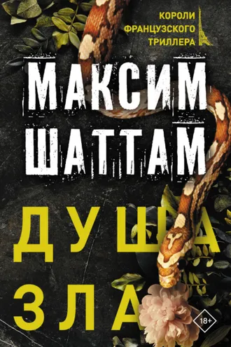Обложка книги «Душа зла»