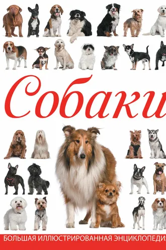 Обложка книги «Собаки»