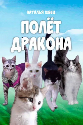 Обложка книги «Полет дракона»
