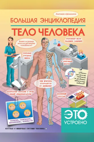 Обложка книги «Большая энциклопедия. Тело человека»