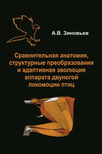 Обложка книги «Сравнительная анатомия, структурные преобразования и адаптивная эволюция аппарата двуногой локомоции птиц»