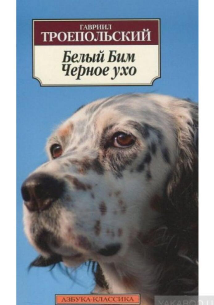 Белый Бим Чёрное ухо