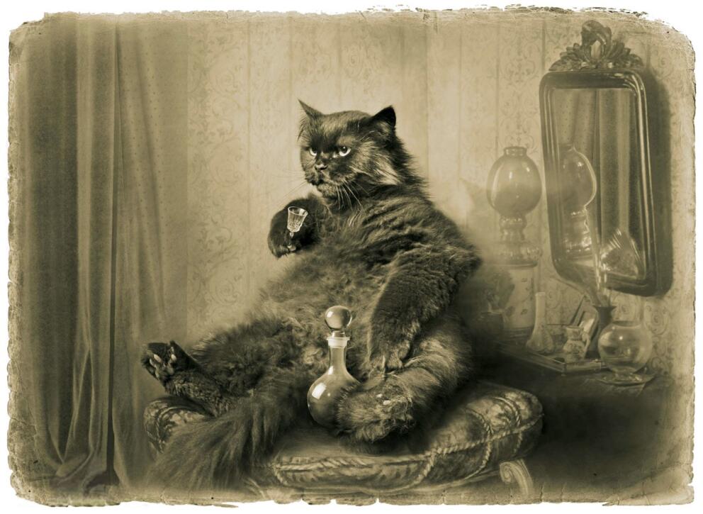 Кот Бегемот
