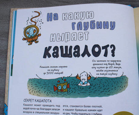 На какую глубину ныряет кашалот?