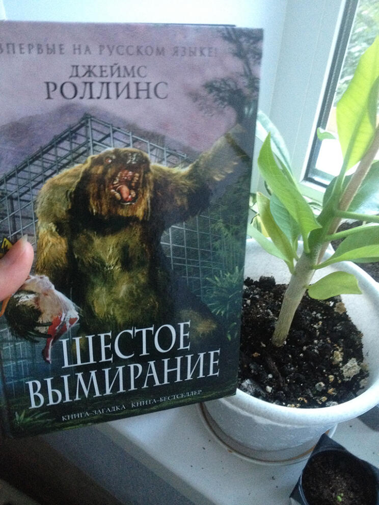 Шестое вымирание