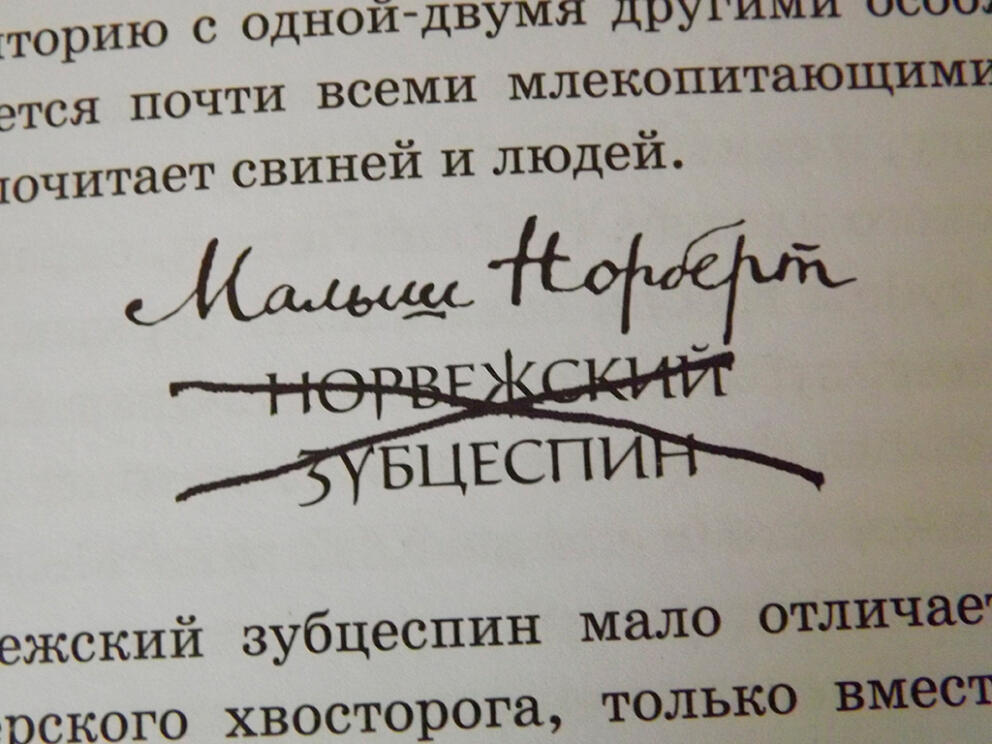 Малыш Норберт