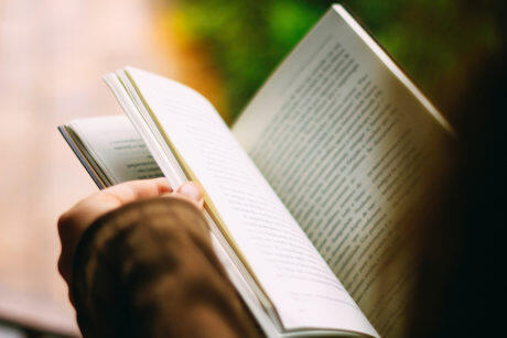 Читает книгу