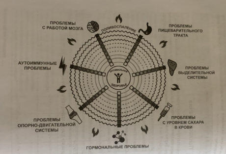 биоиндивидуальность